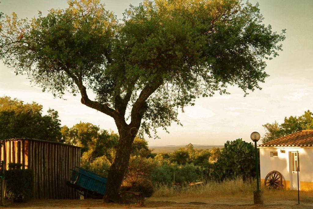 Quinta Da Bela Vista Διαμέρισμα Póvoa e Meadas Εξωτερικό φωτογραφία