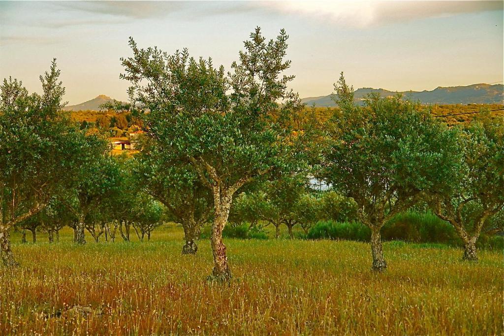 Quinta Da Bela Vista Διαμέρισμα Póvoa e Meadas Εξωτερικό φωτογραφία