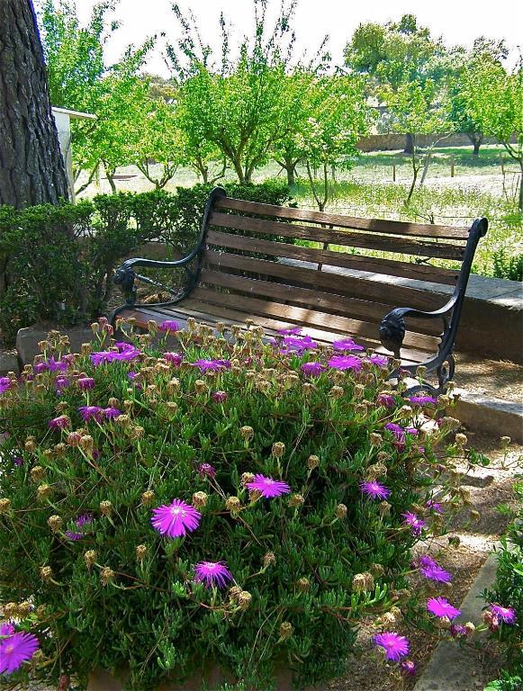 Quinta Da Bela Vista Διαμέρισμα Póvoa e Meadas Εξωτερικό φωτογραφία