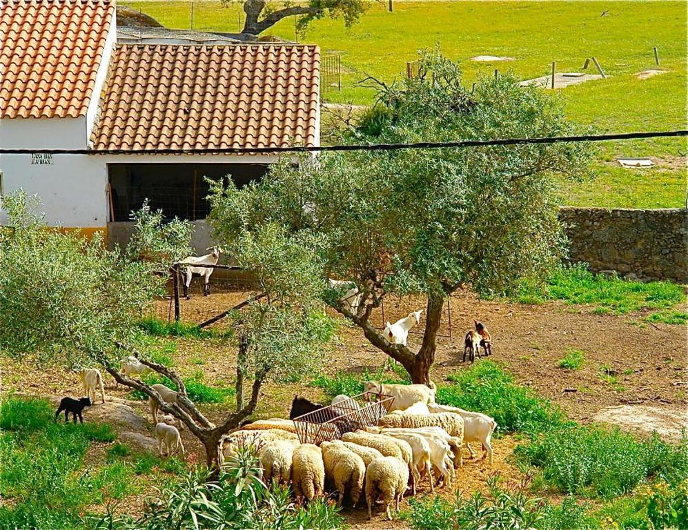 Quinta Da Bela Vista Διαμέρισμα Póvoa e Meadas Εξωτερικό φωτογραφία