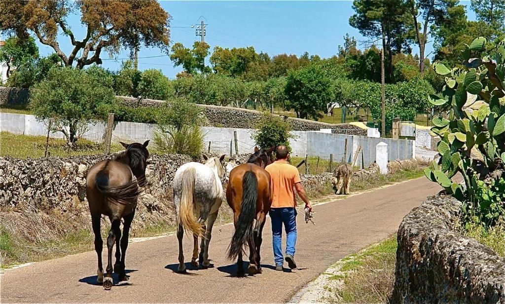 Quinta Da Bela Vista Διαμέρισμα Póvoa e Meadas Εξωτερικό φωτογραφία